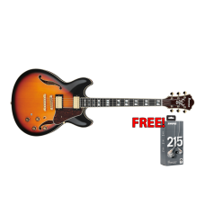 Ibanez AS113-BS Artstar Series